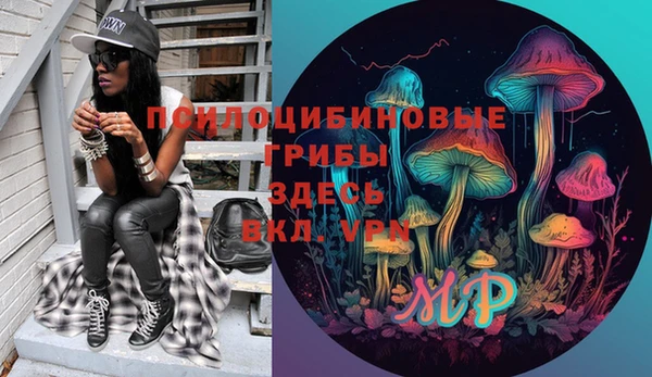 бутират Алексин