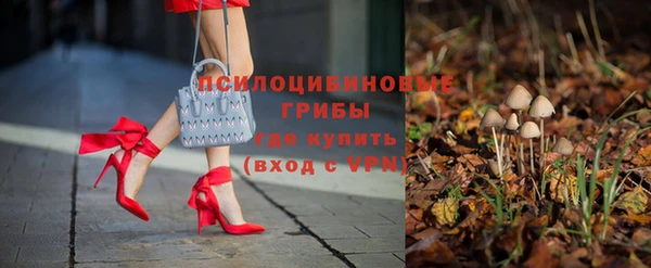 прущая мука Алзамай