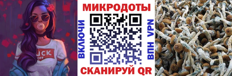 Галлюциногенные грибы мухоморы даркнет сайт Лабинск